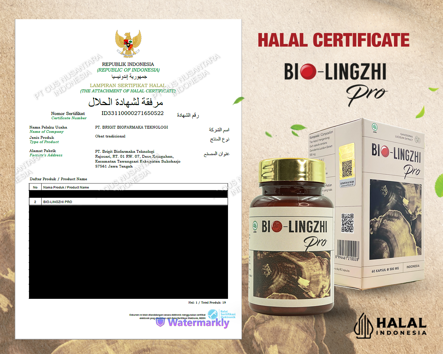 BLZ Halal Sertifikat