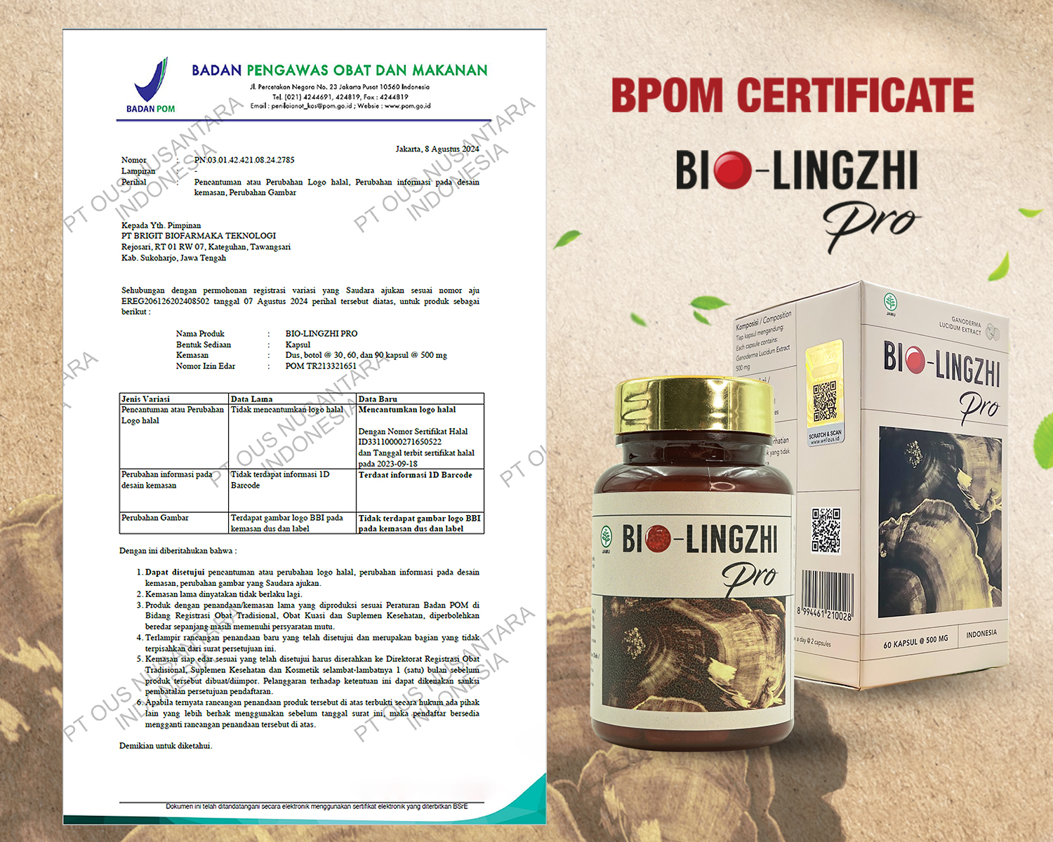 BLZ Sertifikat (page1)