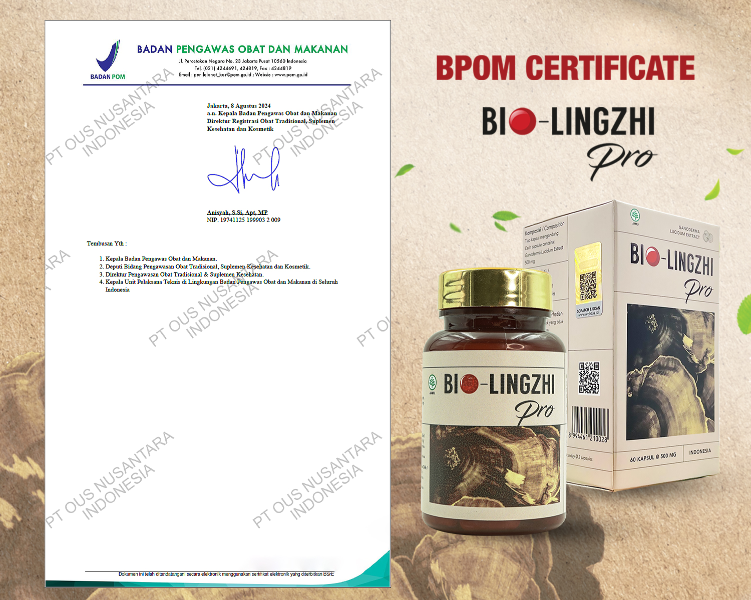 BLZ Sertifikat (page2)